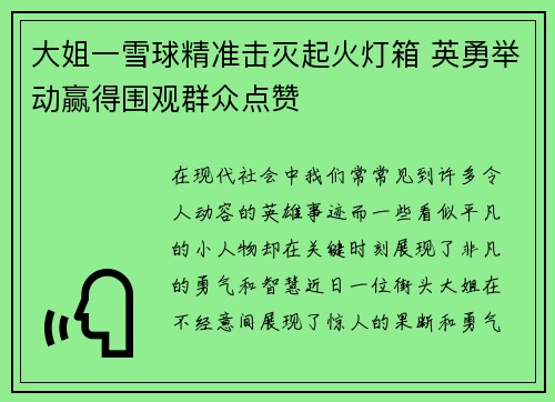 大姐一雪球精准击灭起火灯箱 英勇举动赢得围观群众点赞
