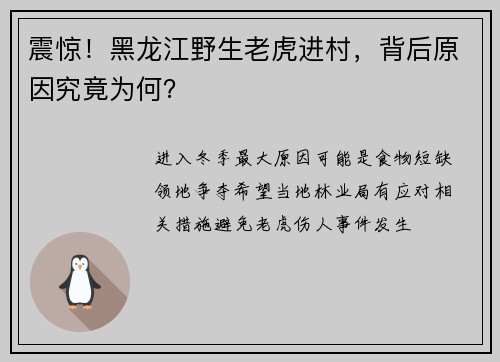 震惊！黑龙江野生老虎进村，背后原因究竟为何？