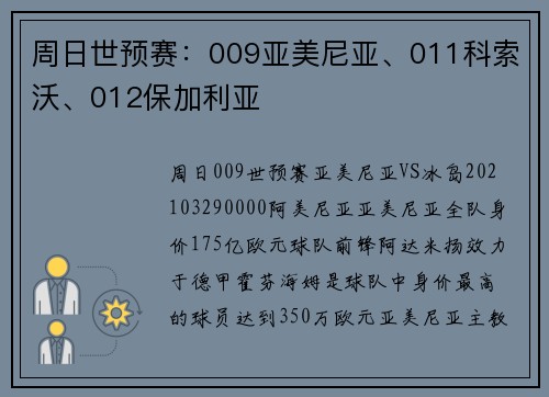 周日世预赛：009亚美尼亚、011科索沃、012保加利亚